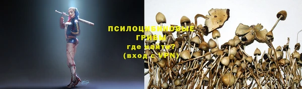 СК Нея