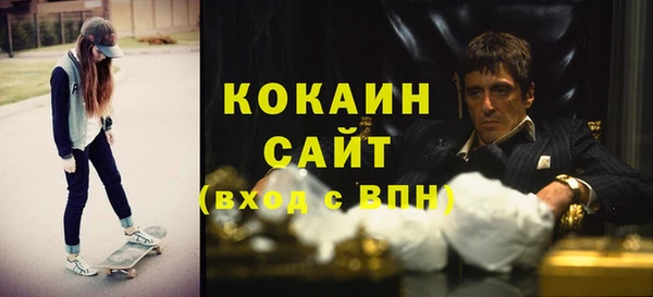 гидра Анжеро-Судженск