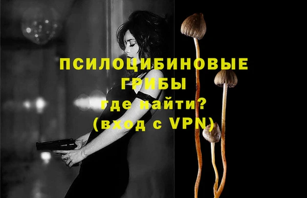 СК Нея