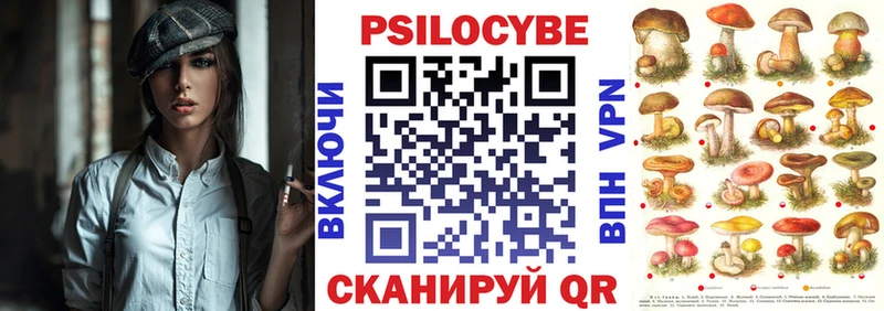 купить   Калачинск  Псилоцибиновые грибы MAGIC MUSHROOMS 